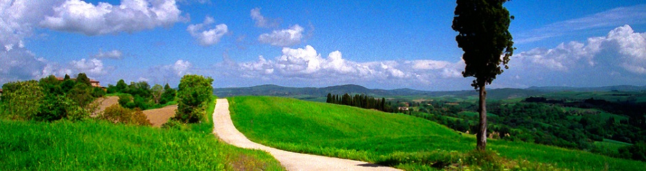 79Header - Road in Tuscany2
