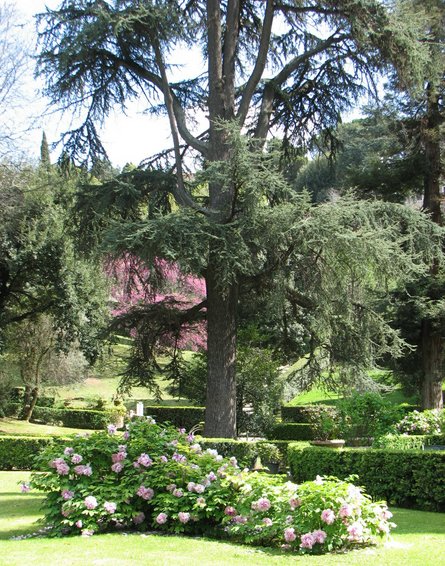 flowers in Villa D'Este