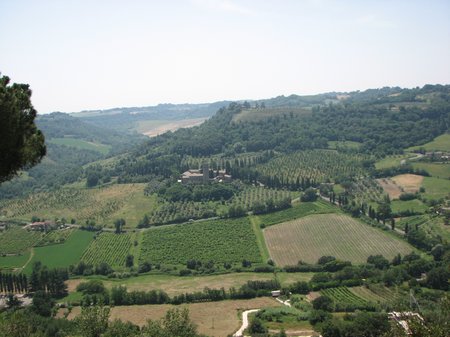 Orvieto Day Trip from Rome? img 1624 Orvieto Day Trip from Rome?