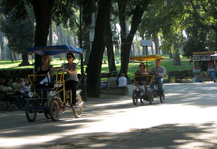 Bike Rental at Villa Borghese img 2330 Galleria Borghese