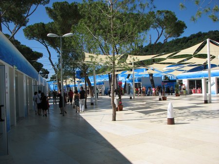 img 4709 FINA World Championships