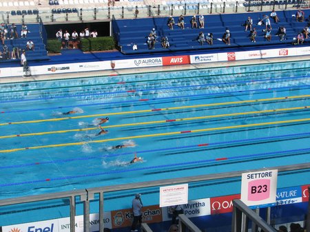 img 4778 FINA World Championships