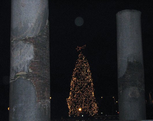 Roman Holidays! Christmas tree at Trajan's Column