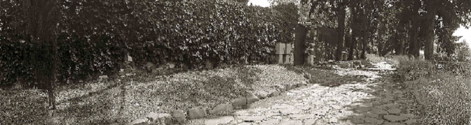 50Header - Appia Antica