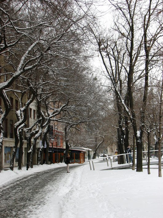 Bratislava in the snow