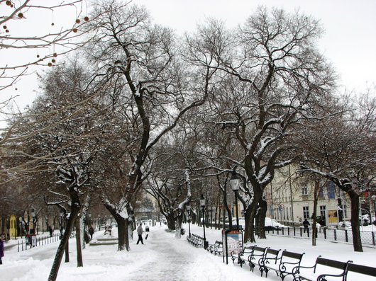 Bratislava in the snow