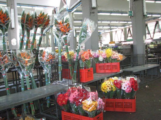 The Mercato dei Fiori IMG 7540