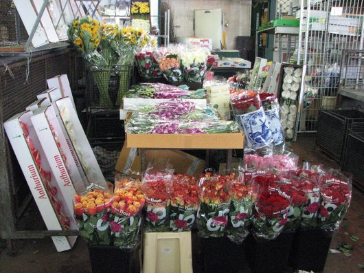 The Mercato dei Fiori IMG 7541