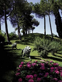 romacav The Roma Cavalieri