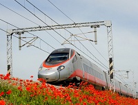 Trains in Italy Train and poppies Train Travel in Italy